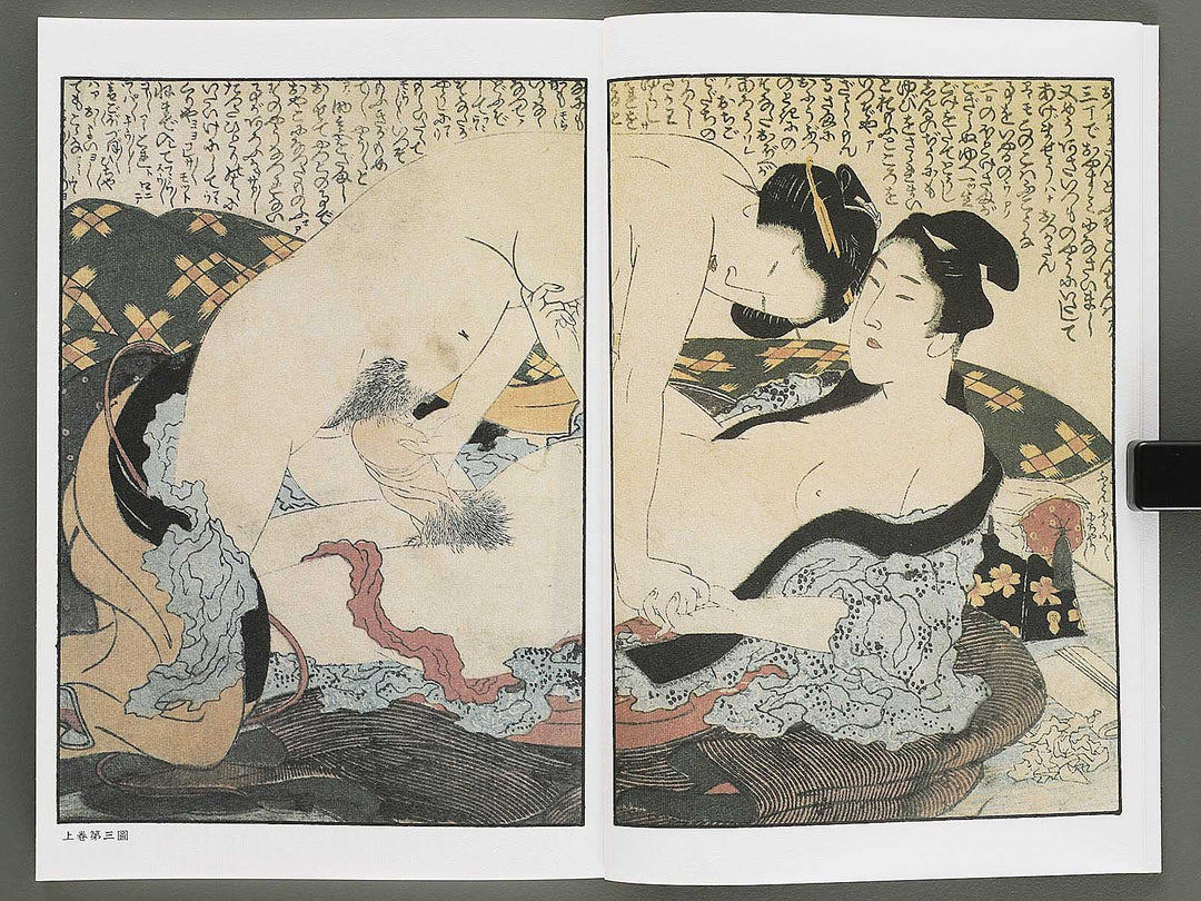 Ezoshi Konoe no komatsu Volume 3 by Katsushika Hokusai / BJ346-437