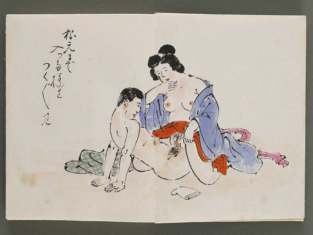 Gendai senryu kaigashu / BJ325-731