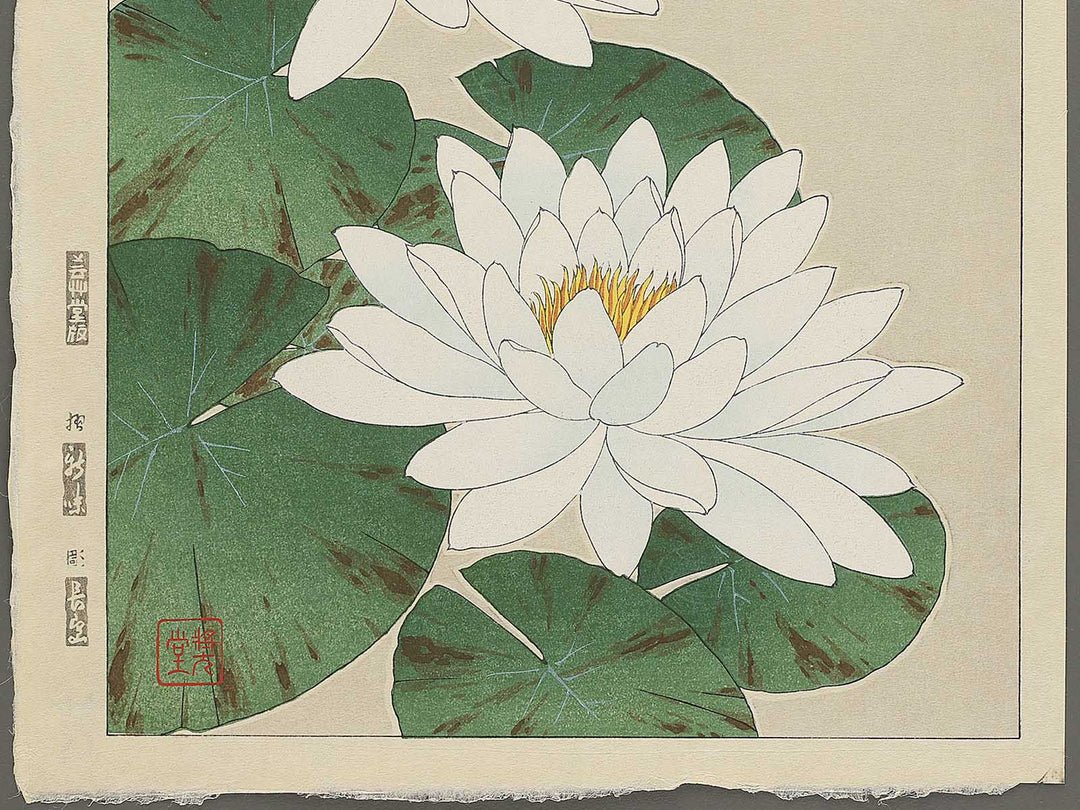 Suiren by Kawarazaki Shodo, (Large print size) / BJ346-283