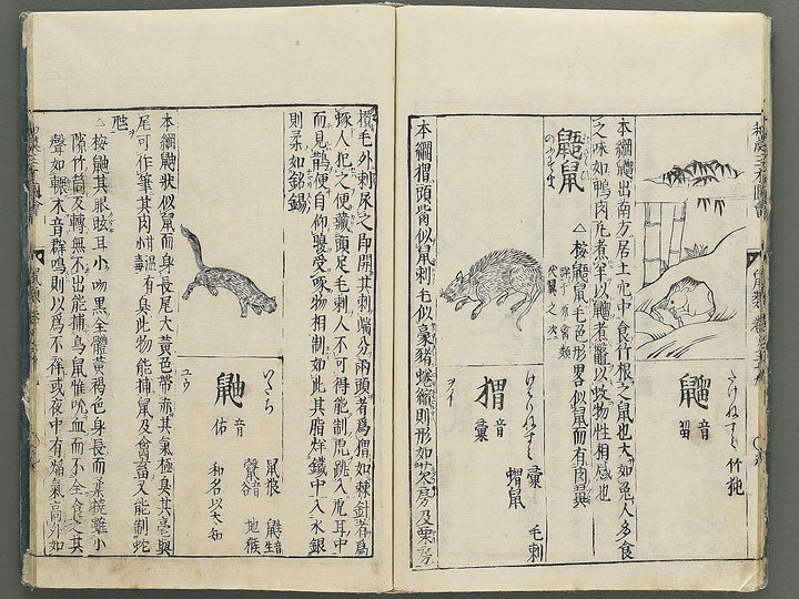 Wakan sansai zue Part 39, Book 40 / BJ349-223