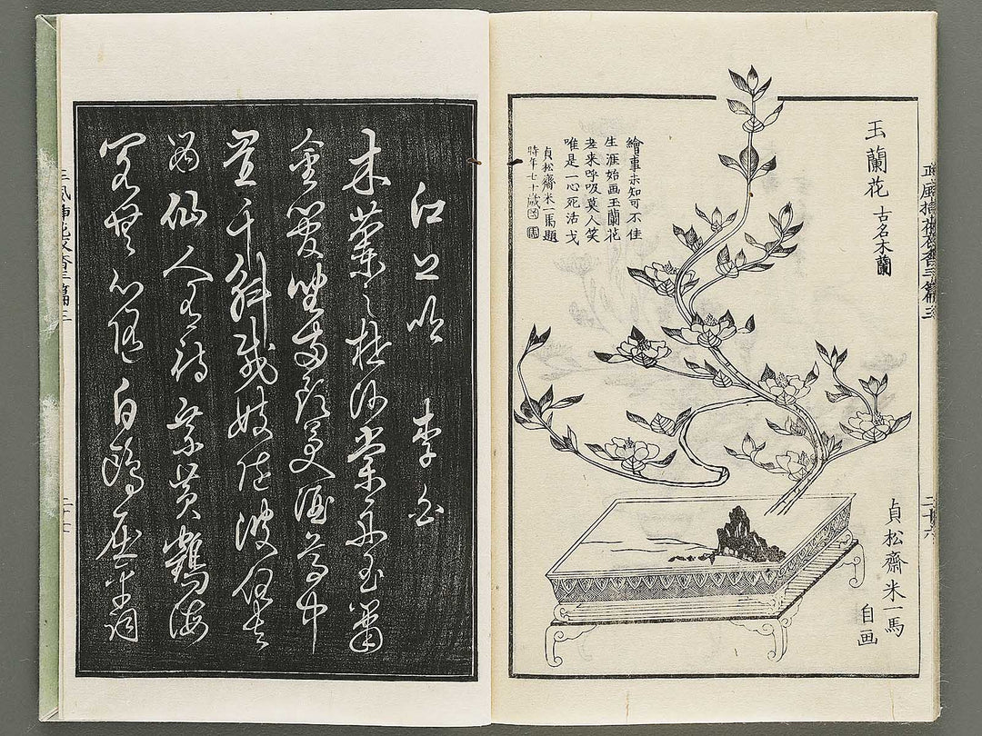 Shofu soka koromo no ka Part 3, Book 3 by Tawaraya Sori / BJ333-851