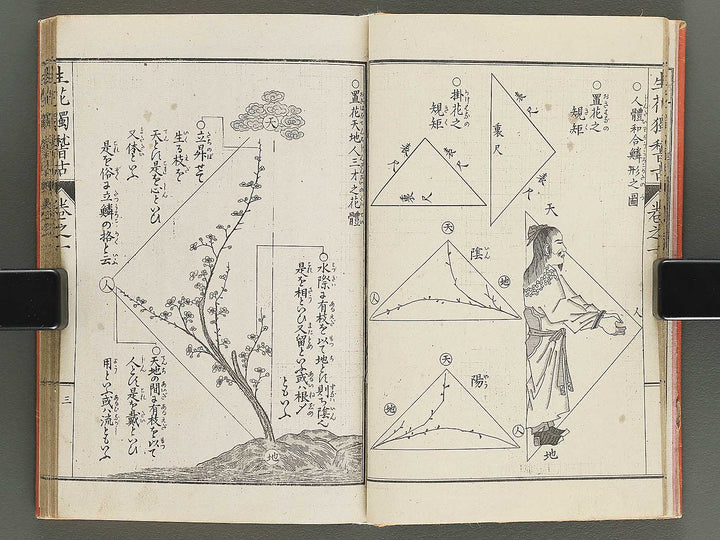 Shoryu hiden ikebana hitorigeiko Volume 1 / BJ347-928