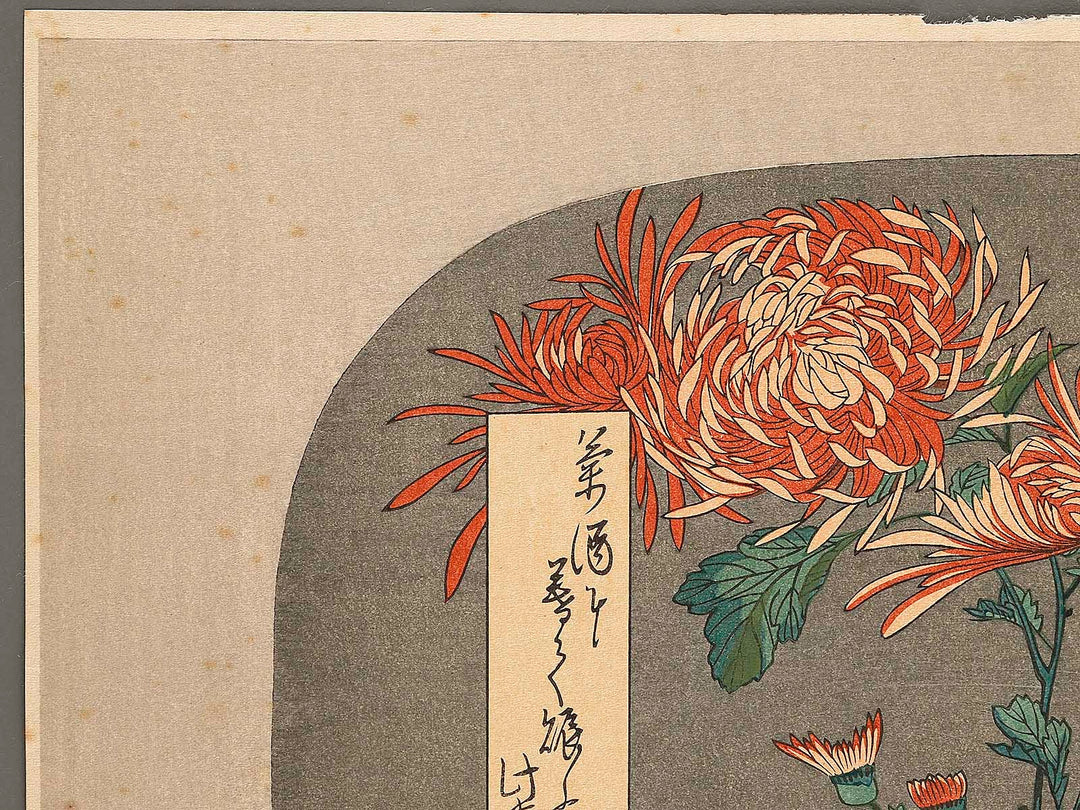 Kiku ni cho by Utagawa Hiroshige, (Large print size) / BJ323-281