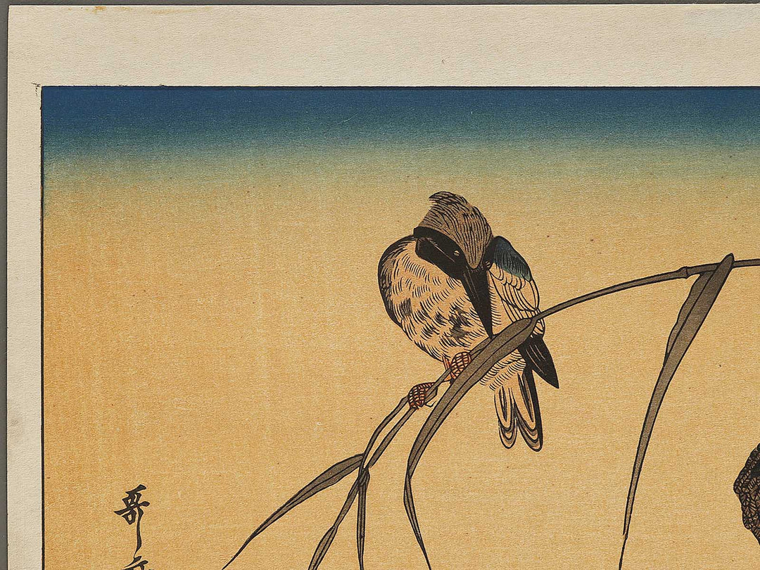 Duck and Kingfisher from the series Momotidori kyoka awase by Kitagawa Utamaro, (Large print size) / BJ328-349
