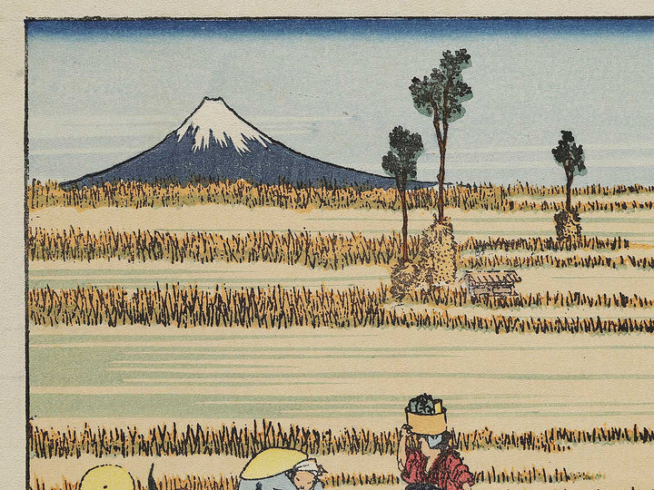 Hosaku no fuji from the series One Hundred Views of Mount Fuji by Katsushika Hokusai, (Medium print size) / BJ321-685