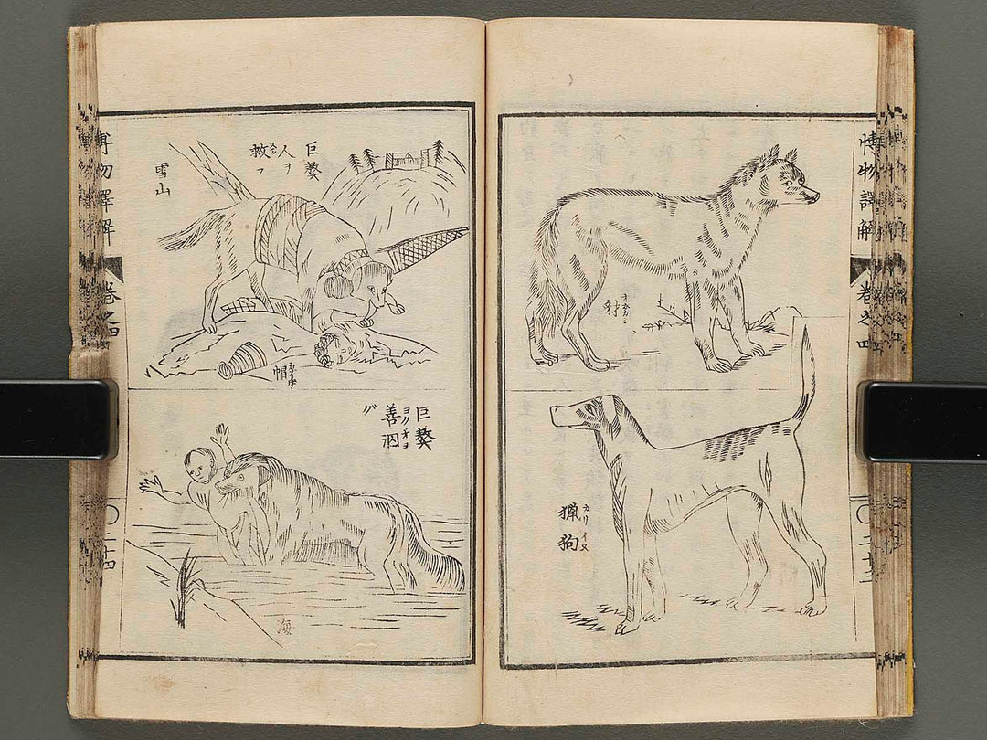 Hakubutsu shinpen yakkai Volume 4 / BJ282-114