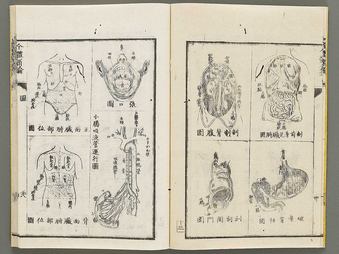 Zentai shinron Kon (Part 2 of 2) / BJ325-353