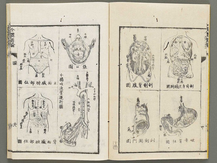 Zentai shinron Kon (Part 2 of 2) / BJ325-353