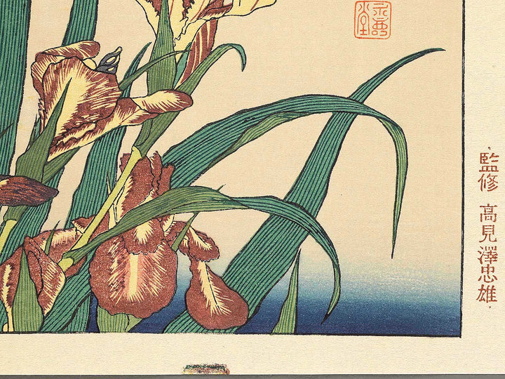 Iris and Grasshopper by Katsushika Hokusai, (Medium print size) / BJ307-426