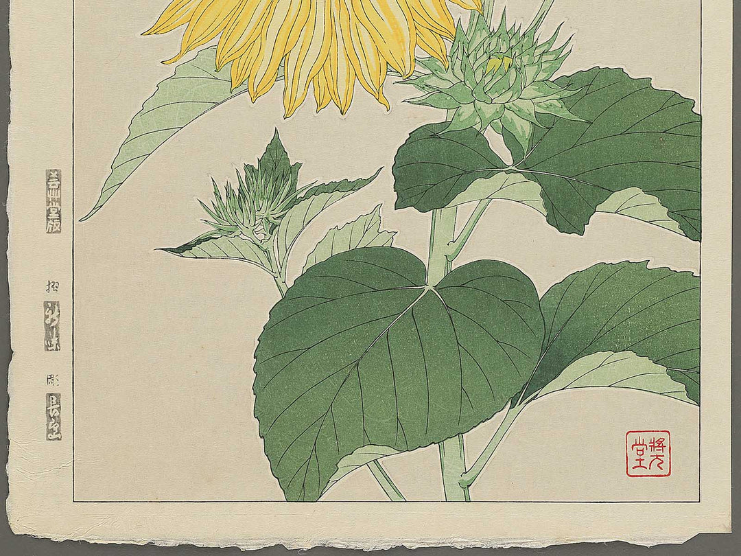 Himawari by Kawarazaki Shodo, (Large print size) / BJ346-276
