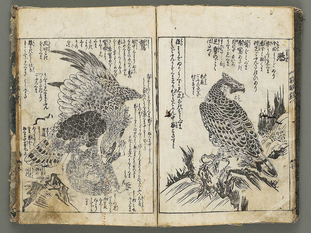 Ehon shaho bukuro Volume 8 by Tachibana Yuzei / BJ332-773