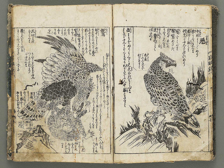 Ehon shaho bukuro Volume 8 by Tachibana Yuzei / BJ332-773