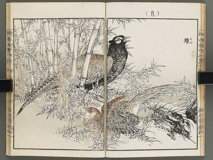 Ehon inaka no tsuki Setsu by Kono Bairei / BJ341-222