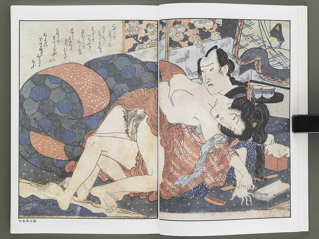 Ezoshi Fuji no yuki Volume 10 by Keisai Eisen / BJ346-472