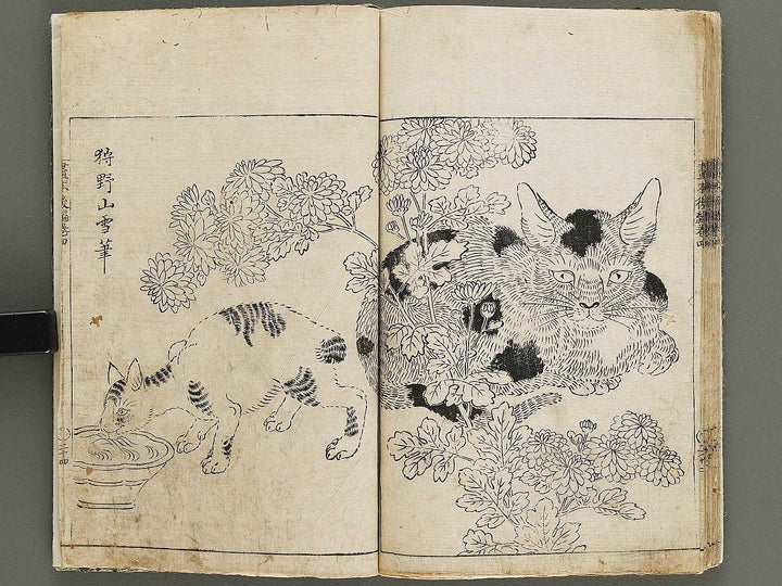 Wakan meigaen Volume 4 by Ooka Shunboku / BJ330-694