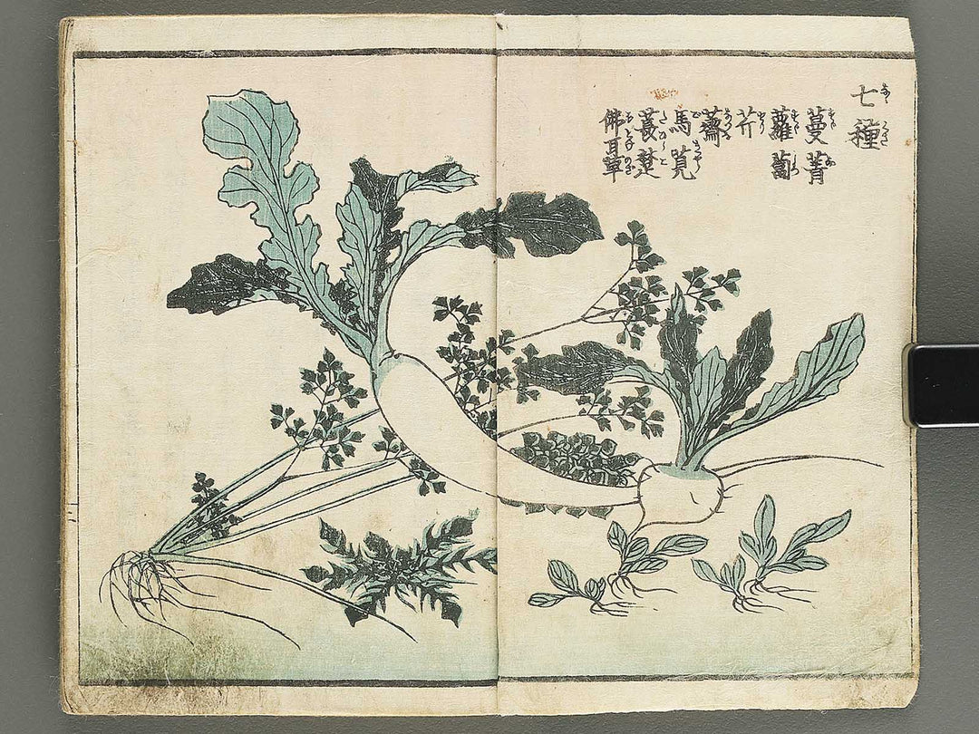Soka e tehon by Keisai Eisen / BJ348-040