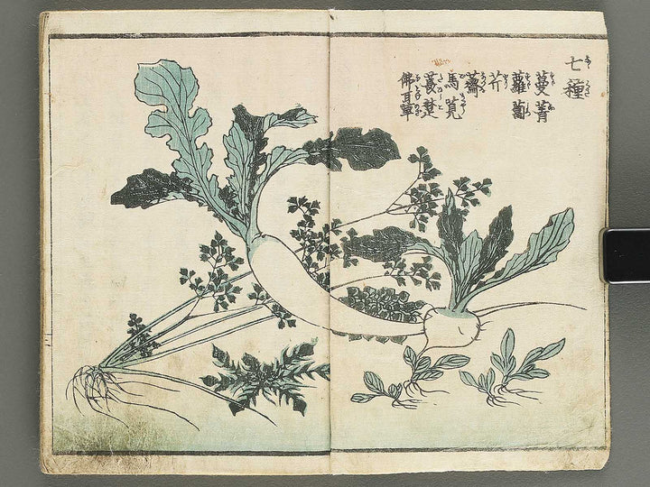 Soka e tehon by Keisai Eisen / BJ348-040
