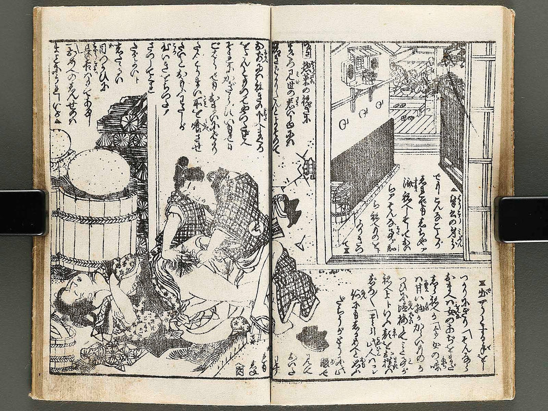 Chigusa no hana futatsu chocho / BJ326-802