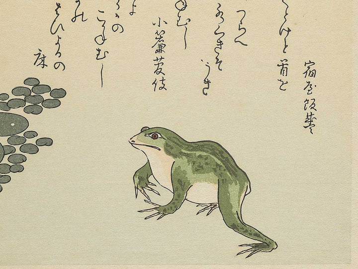 Frog and Gold Beetle from the series Gahon mushierami by Kitagawa Utamaro, (Large print size) / BJ355-292