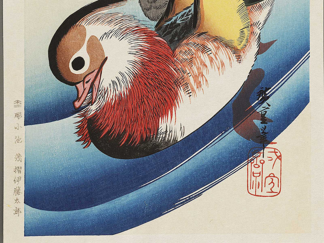 Mandarin duck  by Utagawa Hiroshige, (Medium print size) / BJ328-076