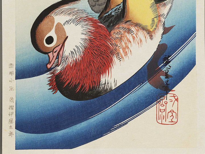 Mandarin duck  by Utagawa Hiroshige, (Medium print size) / BJ328-076