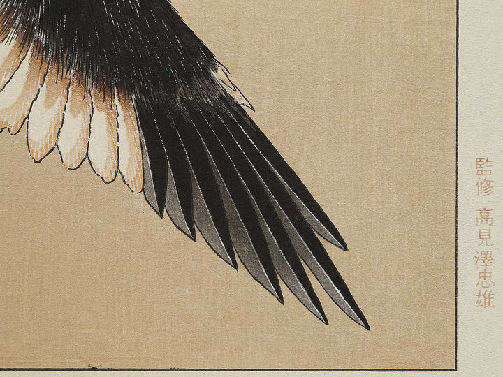 Konotori by Katsushika Hokusai, (Medium print size) / BJ324-975