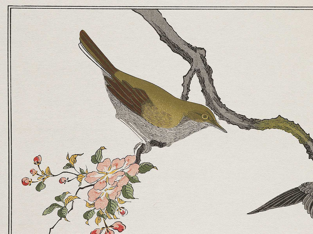 Mountain sparrow and Japanese bush warbler from the series Momochidori kyokaawase by Kitagawa Utamaro, (Large print size) / BJ308-329