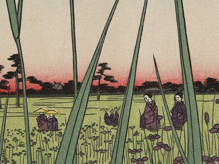 Horikiri Iris Garden from the series One Hundred Famous Views of Edo by Utagawa Hiroshige, (Large print size) / BJ318-458