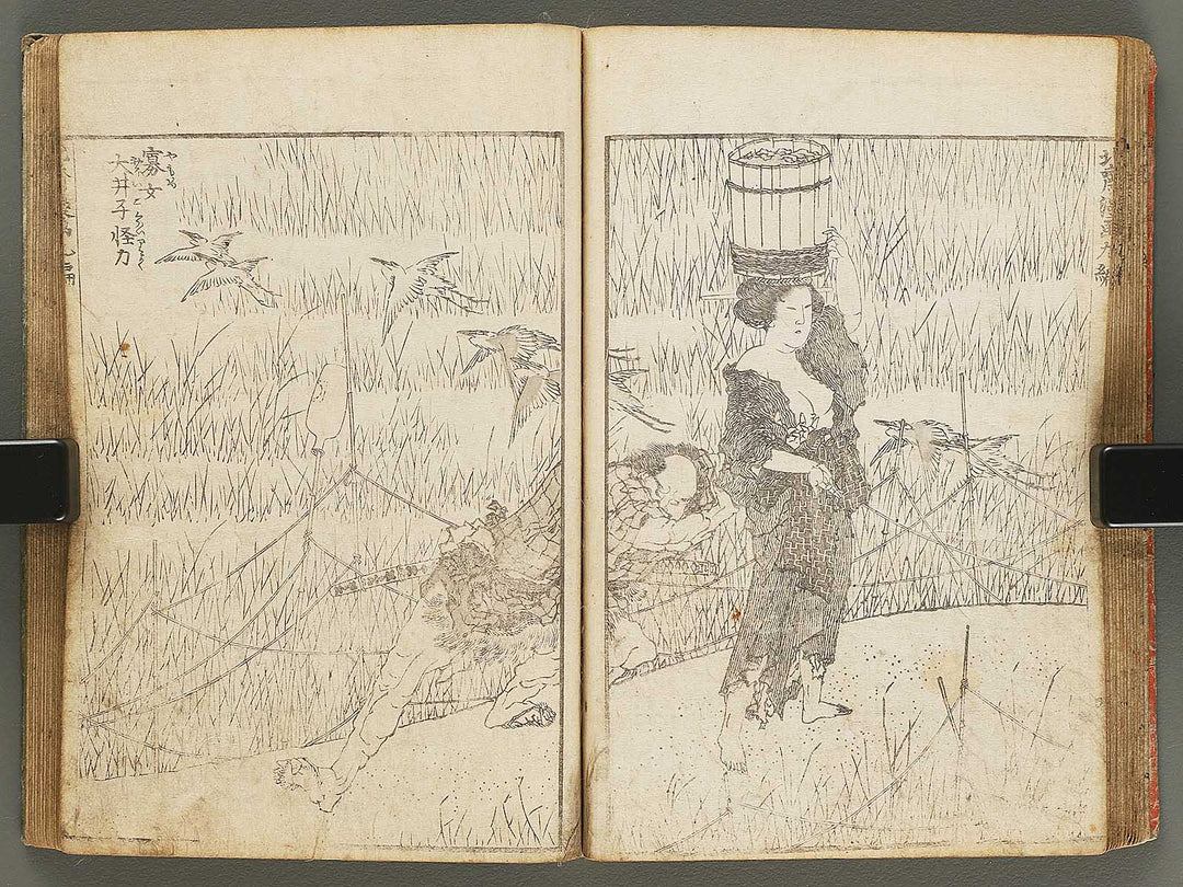 Hokusai manga Volume 9 by Katsushika Hokusai / BJ292-180