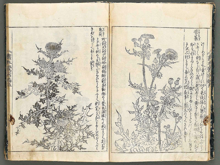 Ehon oushukubai Volume 5 by Tachibana Morikuni / BJ327-691