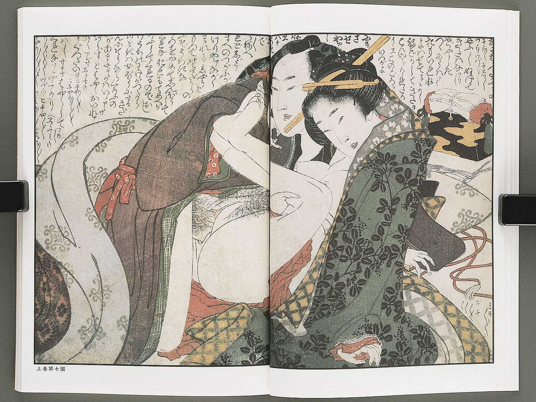 Ezoshi Tamakazura Volume 12 by Katsushika Hokusai / BJ346-486