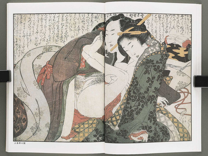 Ezoshi Tamakazura Volume 12 by Katsushika Hokusai / BJ346-486