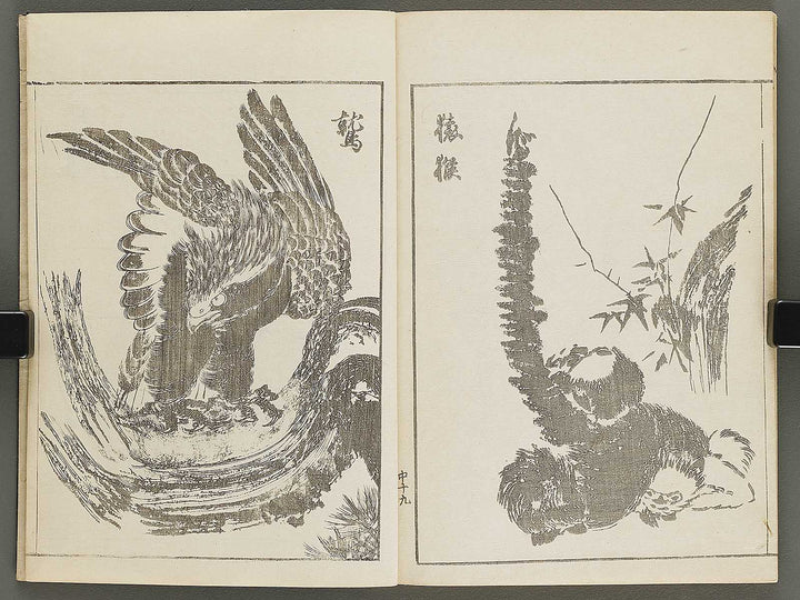 Shinki isso (Chu) by Kuwagata Keisai / BJ326-508