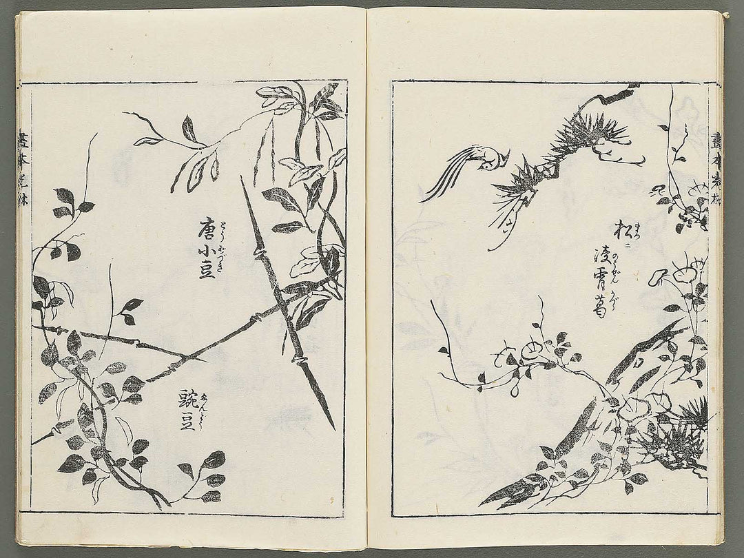 Korin michishirube by Nonomura Chube / BJ351-127