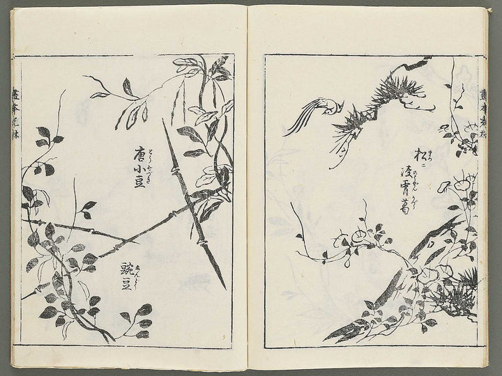 Korin michishirube by Nonomura Chube / BJ351-127