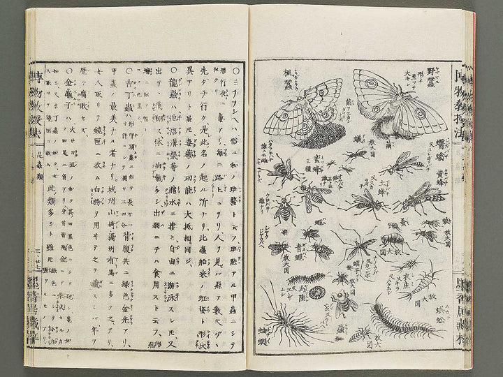 Hakubutsu kyojyuho Volume 3 / BJ341-586