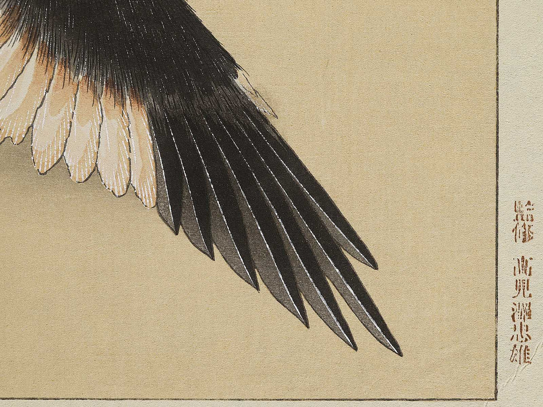 Konotori by Katsushika Hokusai / BJ321-650