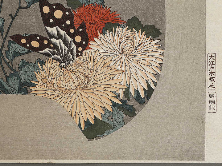 Kiku ni cho by Utagawa Hiroshige, (Large print size) / BJ324-737