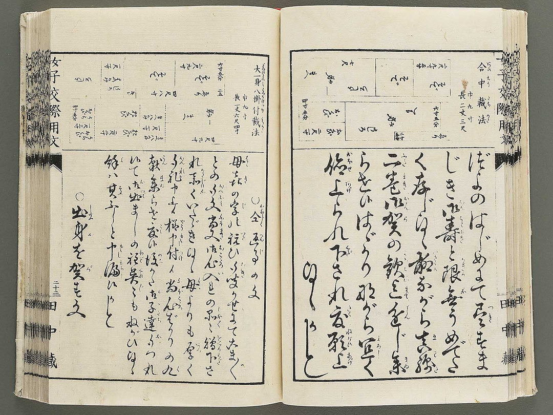 Fujo kinno joshi kousai yobun / BJ353-143