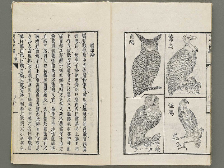Hakubutsu Shinpen Volume 3 / BJ335-412