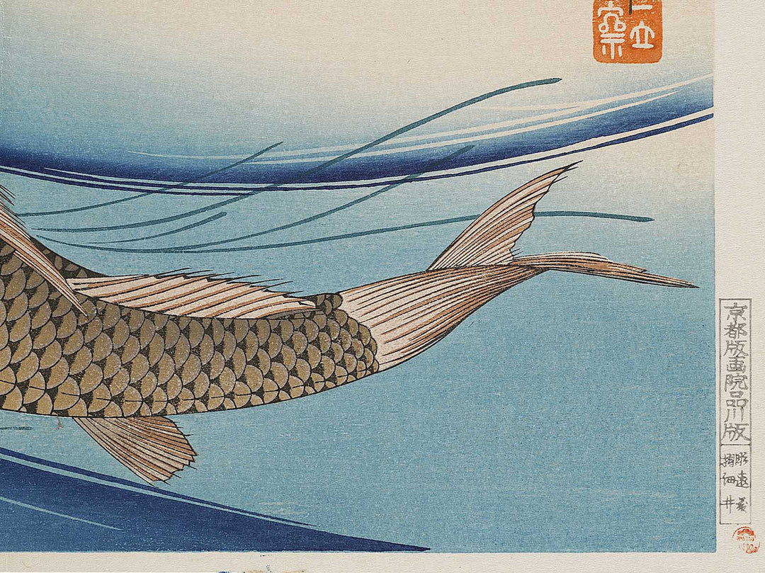 Japanese Carp from the series the series fish by Utagawa Hiroshige, (Large print size) / BJ325-619