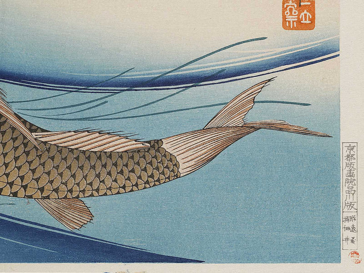 Japanese Carp from the series the series fish by Utagawa Hiroshige, (Large print size) / BJ325-619