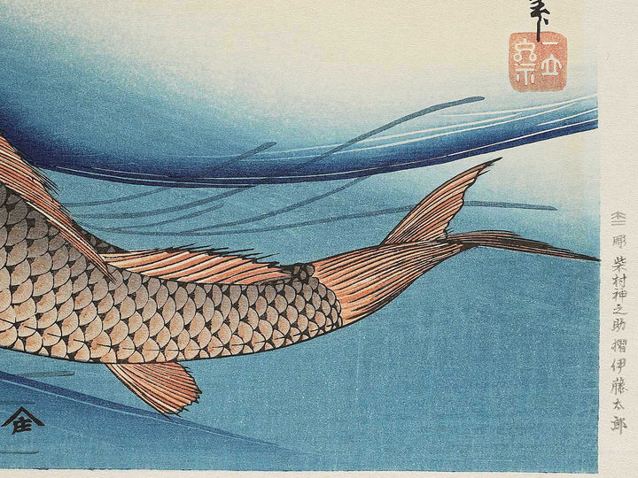 Japanese Carp from the series the series FISH by Utagawa Hiroshige, (Large print size) / BJ295-113
