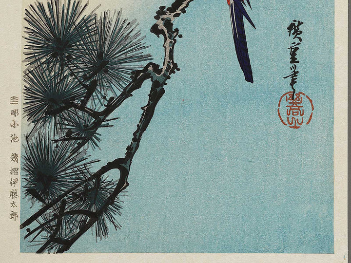 Matsu ni inko by Utagawa Hiroshige, (Medium print size) / BJ327-929