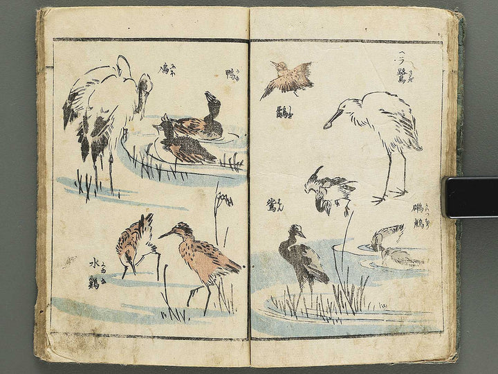 Yanagawa gafu (Kacho bu) by Yanagawa Shigenobu / BJ348-964