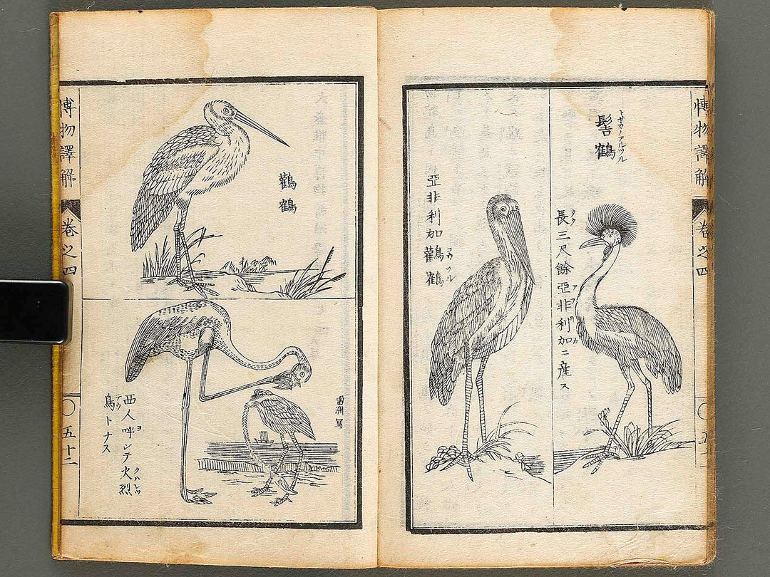 Hakubutsu shinpen yakkai Volume 4 / BJ326-879