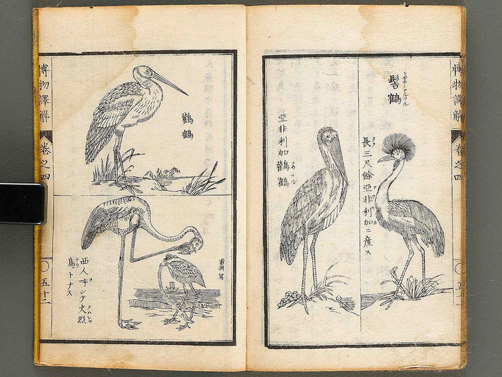 Hakubutsu shinpen yakkai Volume 4 / BJ326-879