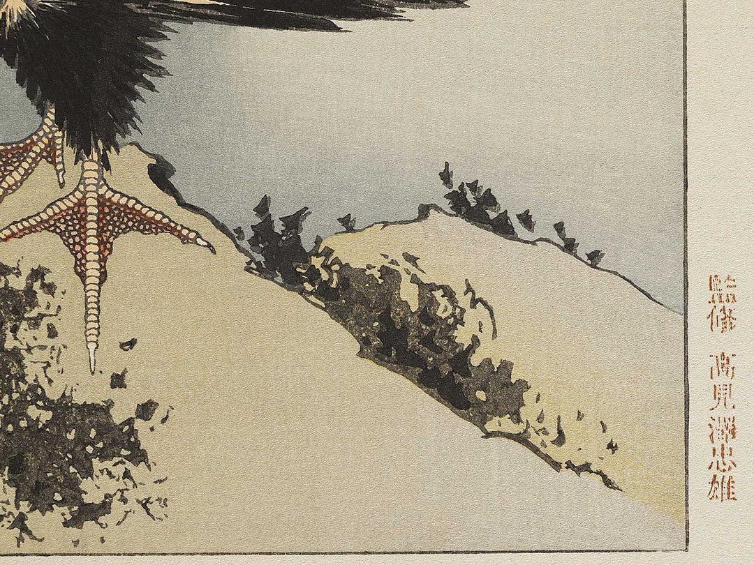A cormorant stands resolute at the head of a rock by the sea by Katsushika Hokusai, (Medium print size) / BJ321-818
