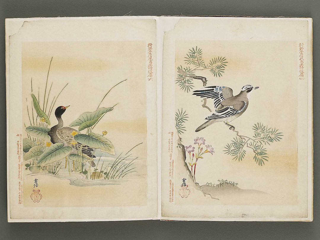 Gacho by Kano-school / BJ324-044