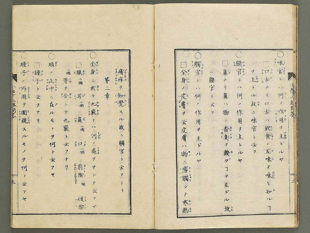 Shogaku jintai mondo / BJ352-884